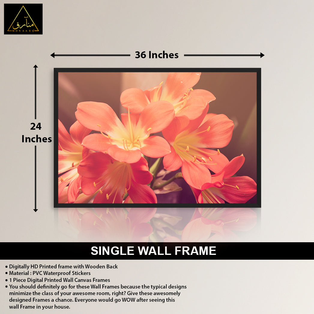 SINGLE WALL FRAME (24x36)