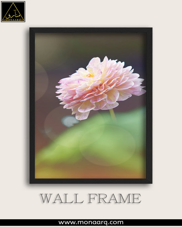 SINGLE WALL FRAME (SCENRIES)