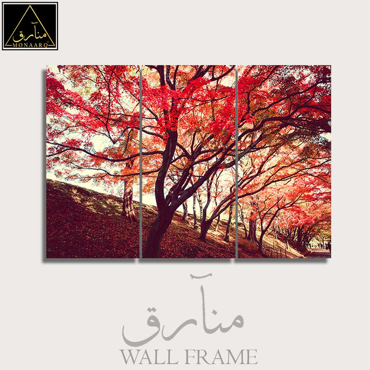 3 DIVIDED WALL FRAME