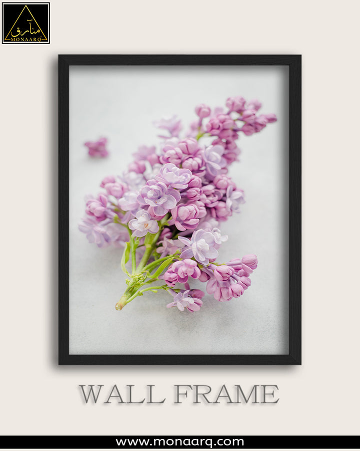 SINGLE WALL FRAME (SCENRIES)