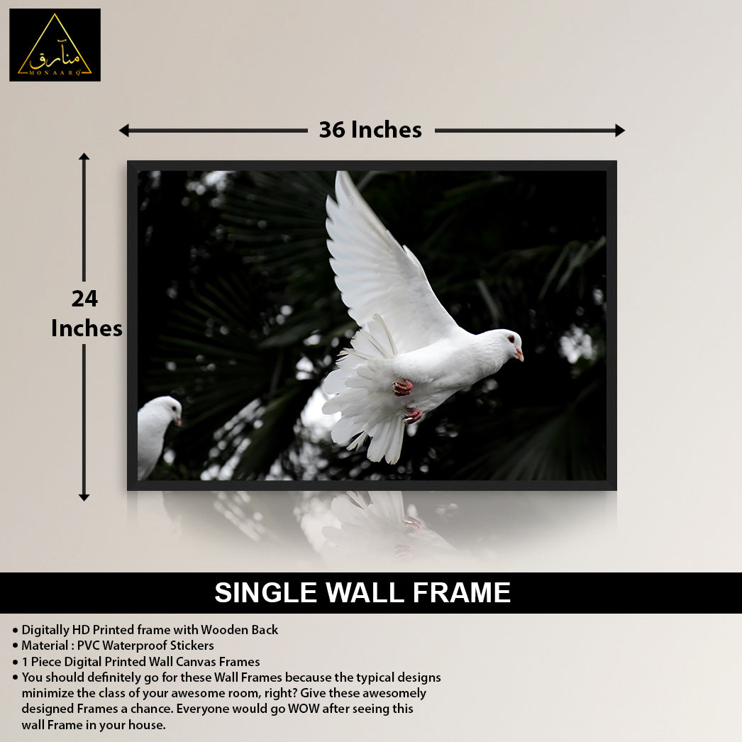 SINGLE WALL FRAME (24x36)