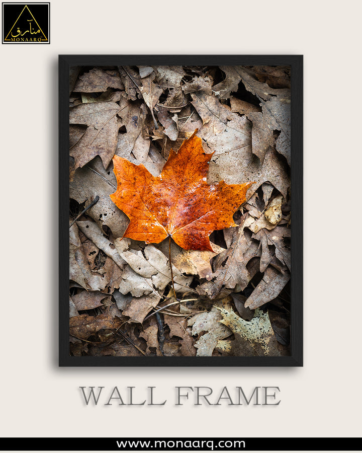 SINGLE WALL FRAME (SCENRIES)