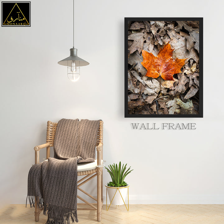 SINGLE WALL FRAME (SCENRIES)
